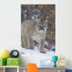 Cougar In Snowfall Wall Mural