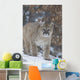 Cougar In Snowfall Wall Mural