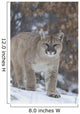 Cougar In Snowfall Wall Mural