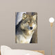 Timber Wolf Wall Mural