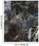 Black Timber Wolf Wall Mural