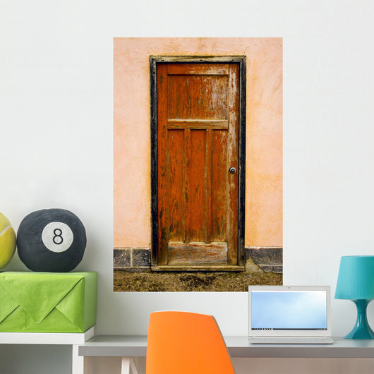 Old Weathered Door Wall Mural