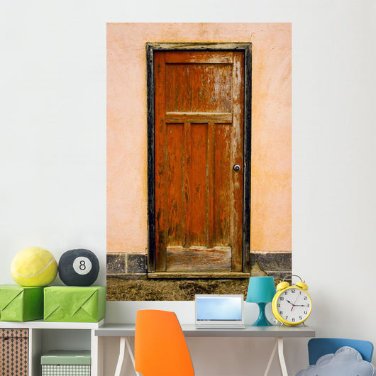 Old Weathered Door Wall Mural