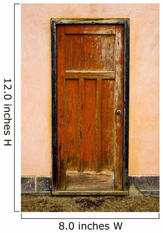 Old Weathered Door Wall Mural