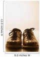 Front View Of Bowling Shoes Wall Mural