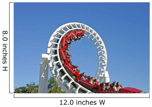 Roller Coaster 4 Wall Mural