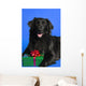 Dog With Present Wall Mural