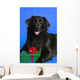Dog With Present Wall Mural