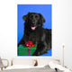 Dog With Present Wall Mural