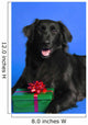 Dog With Present Wall Mural