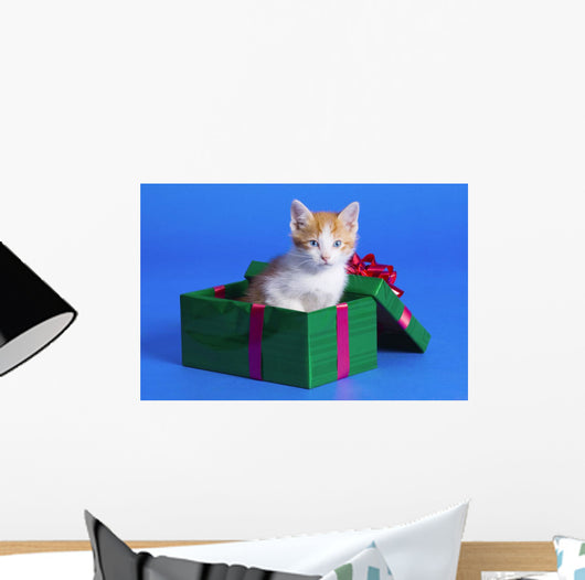 Kitten In Gift Box Wall Mural