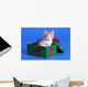 Kitten In Gift Box Wall Mural