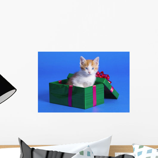 Kitten In Gift Box Wall Mural