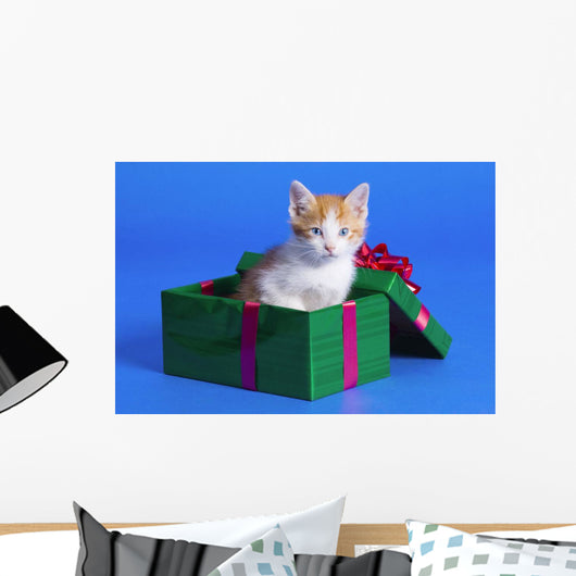 Kitten In Gift Box Wall Mural