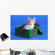 Kitten In Gift Box Wall Mural