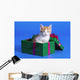 Kitten In Gift Box Wall Mural