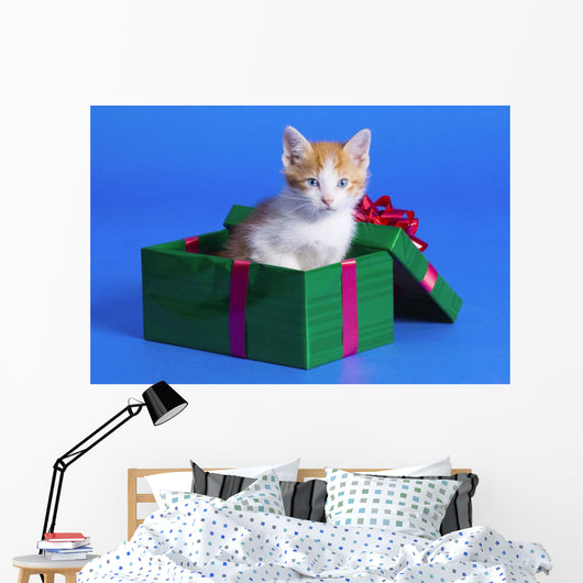 Kitten In Gift Box Wall Mural
