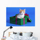 Kitten In Gift Box Wall Mural