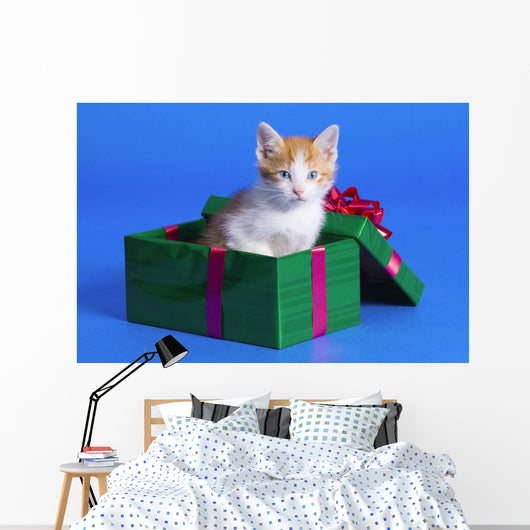 Kitten In Gift Box Wall Mural