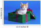 Kitten In Gift Box Wall Mural
