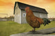 Rooster Wall Mural