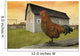 Rooster Wall Mural
