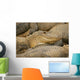 Alligators Wall Mural
