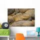 Alligators Wall Mural