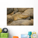 Alligators Wall Mural