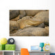 Alligators Wall Mural