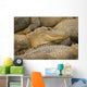 Alligators Wall Mural