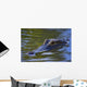 Alligator Wall Mural