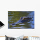 Alligator Wall Mural