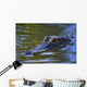 Alligator Wall Mural