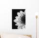 Black And White Flower Wall Mural