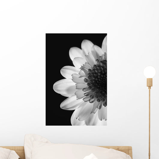 Black And White Flower Wall Mural