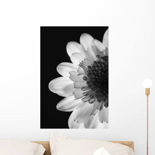 Black And White Flower Wall Mural