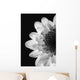Black And White Flower Wall Mural