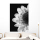 Black And White Flower Wall Mural