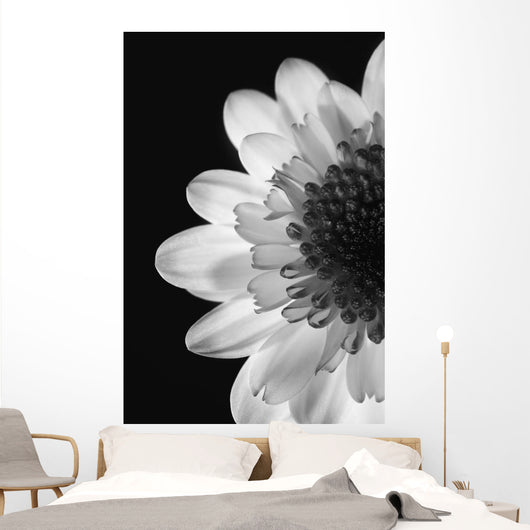 Black And White Flower Wall Mural