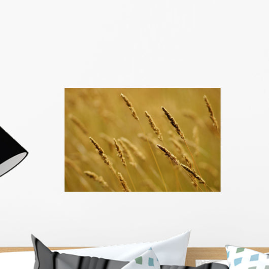Close-Up Of Wheat Wall Mural