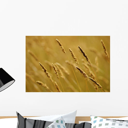Close-Up Of Wheat Wall Mural