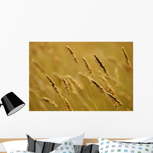 Close-Up Of Wheat Wall Mural