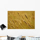 Close-Up Of Wheat Wall Mural
