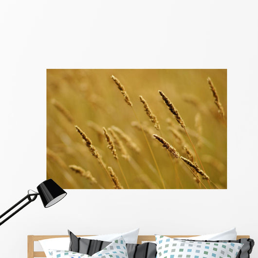 Close-Up Of Wheat Wall Mural