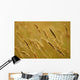 Close-Up Of Wheat Wall Mural