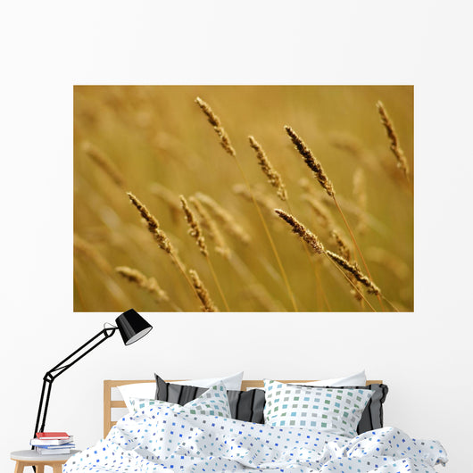 Close-Up Of Wheat Wall Mural