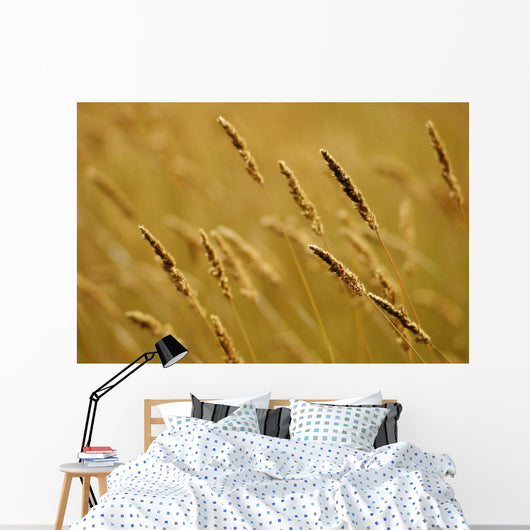Close-Up Of Wheat Wall Mural