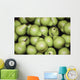 Pears Background Wall Mural