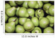 Pears Background Wall Mural
